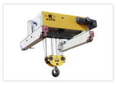 Electric Hoist Series